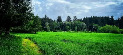 Moving to Siletz, Oregon | Advantage Real Estate