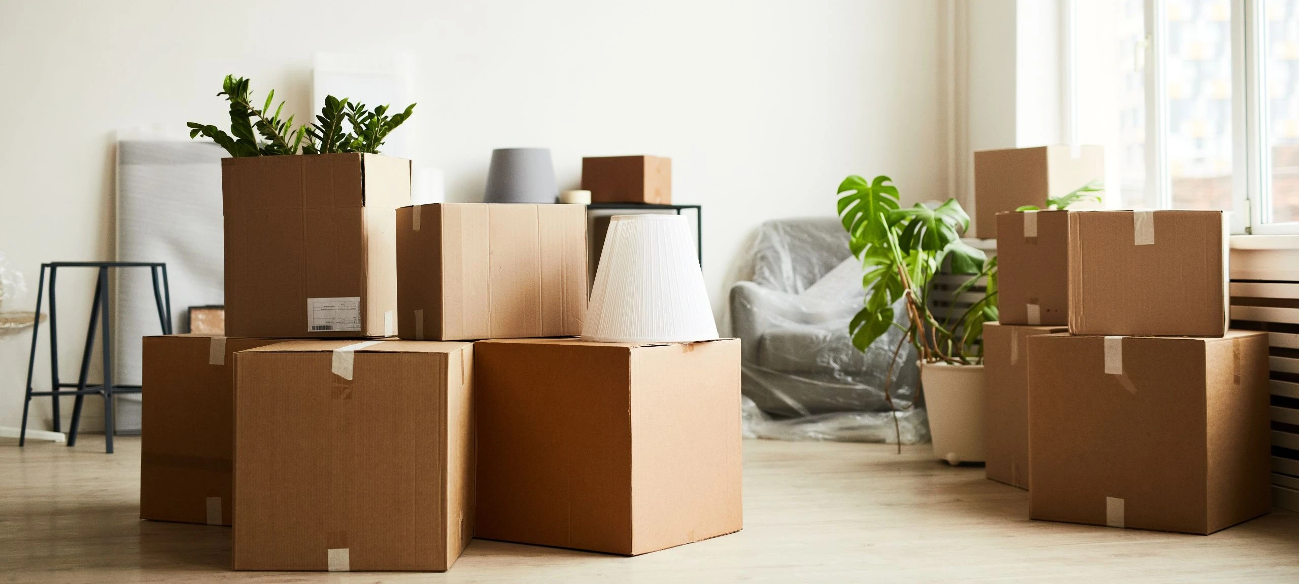 Preparing for Your Move: A Helpful Guide | Advantage Real Estate